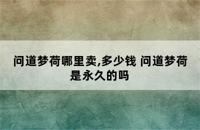 问道梦荷哪里卖,多少钱 问道梦荷是永久的吗